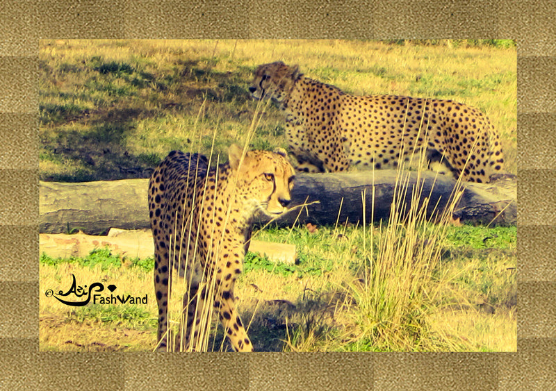 Wildlife's Gems Painting Sneak Peek:  Turquoise The Persian Cheetah