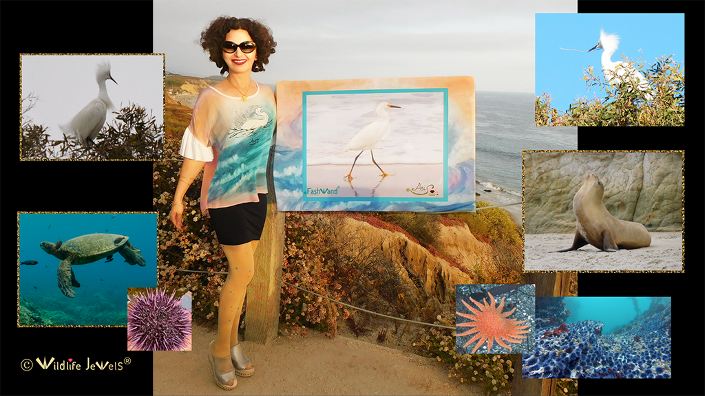 Join Wildlife Jewels® at AltaSea | The Art & Science of Snowy Egrets, Sea Turtles, Sea Lions, Sea Stars & Sea Urchins!