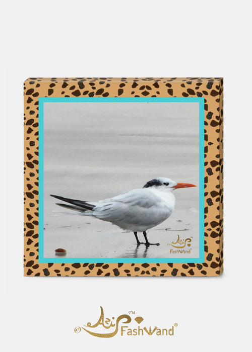 Wildlife Jewels Elegant Tern Turquoise the Cheetah Photography + Painting Canvas Print